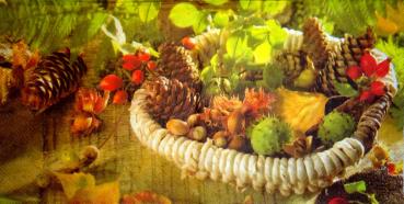 074 Autumn (right) - Fasana