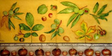 076 Autumn - Ambiente