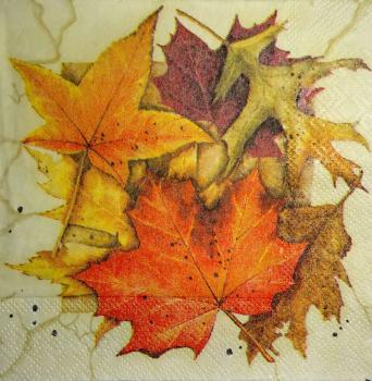 083 Herbst - Ambiente - CS