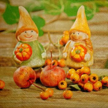 015 Dwarfs