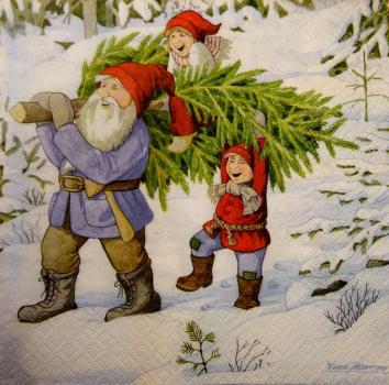 028 Dwarfs - 3-ply - Home Fashion - Lena Petersson