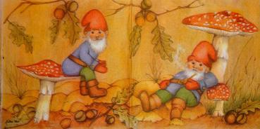 029 Dwarfs - MOLCA