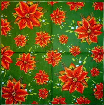 033 Christmas Flowers - Daisy
