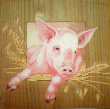 026 Pigs - 3-ply - Ambiente