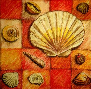 042 Shellfish - 3-ply - Colourful Life