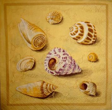 043 Muscheln - 3-lagig - Stewo