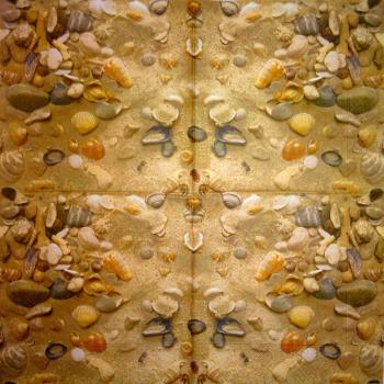 047 Shellfish - 3-ply - Paper Design