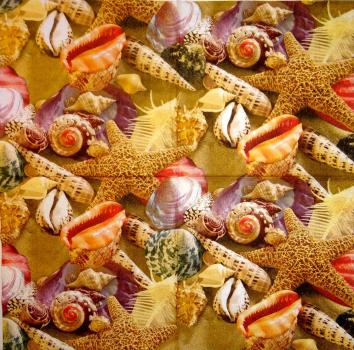 049 Muscheln - 3-lagig - Colourful Life