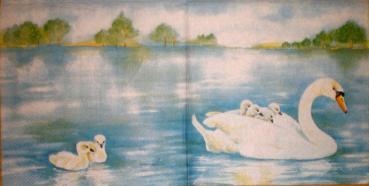 001 Ducks - 3-ply - Ihr