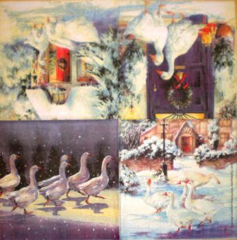 008 Enten - 3-lagig - AVEC