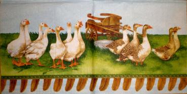 010 Enten - 3-lagig (blau) - Ambiente