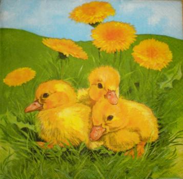 011 Ducks - 3-ply - Home Fashion