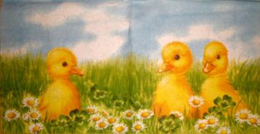012 Ducks - 3-ply - Ihr