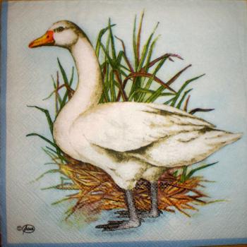 015 Enten - 3-lagig (blau) - Ambiente