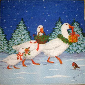 016 Ducks - 3-ply - Ti-Flair