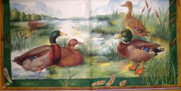 017 Ducks - 3-ply (grün) - Ihr