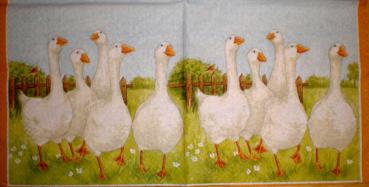 021 Enten - 3-lagig - Atelier