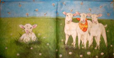 002 Sheep - 3-ply - Ambiente