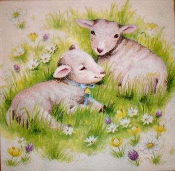 005 Sheep - 3-ply