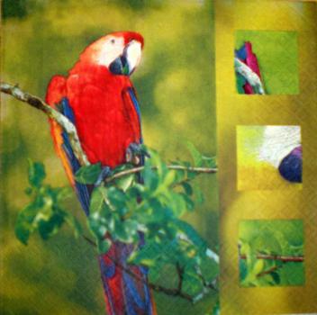 50f-002 Papagei - 3-lagig - Home Fashion
