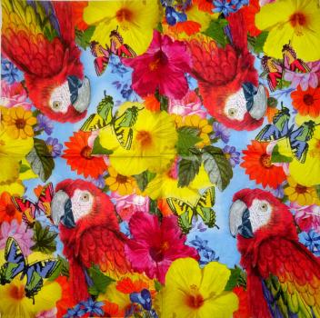 013 Parrot - 3-ply - Avantgarde