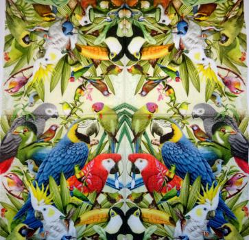 015 Papagei - 3-lagig - Paper Design
