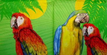 016 Parrot - 3-ply - Avantgarde
