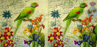 017 Parrot - 3-ply - Paper Design