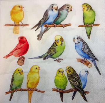 018 Parrot - 3-ply - Ambiente