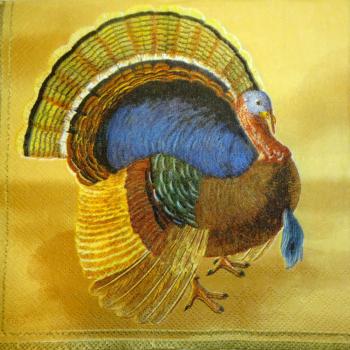 011 Peacock - 3-ply (beige) - Ihr