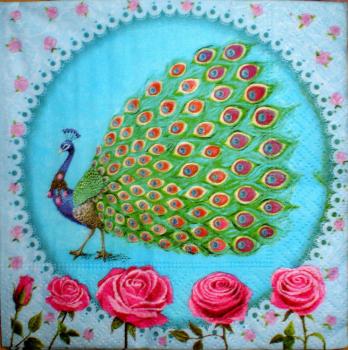 013 Peacock - 3-ply - Profissimo - CS