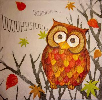 108 Owls - 3-ply - Heitmann