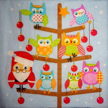 081 Owls - 3-ply - CS