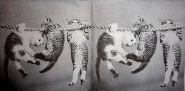 166 Cats - 3-ply