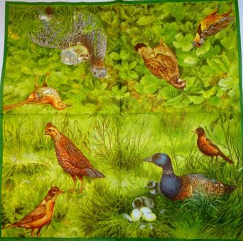 034 Ducks - 3-ply - Ihr