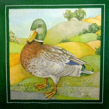 035 Ducks - 3-ply - Atelier
