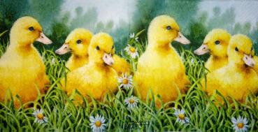 036 Ducks - 3-ply - Paper Design