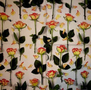 172 Roses - 3-ply (bright) - Home Fashion