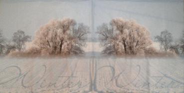 010 Winter Landscape - 3-ply (10) - Paper Design - CS