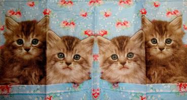 141 Cats - 4-ply - Paper Design - Handkerchief