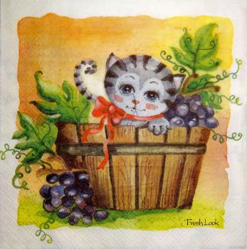 174 Cats - 3-ply - Fresh Look