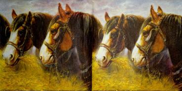 078 Horses - 3-ply - Ashdene