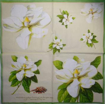 022 Magnolias - 3 ply - (grün) - Ihr