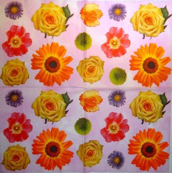 082 Daisies  - 3 ply (pink) - Atelier
