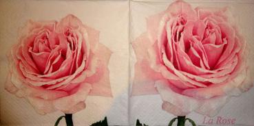 205 Roses - 3-ply - Atelier