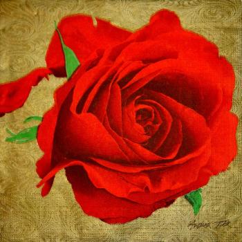 207 Roses - 3-ply (4038) - ppd - Andrea Tilk