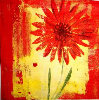 101 Daisies  - 3 ply