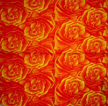 211 Roses - 3-ply (orange) - Ti-Flair