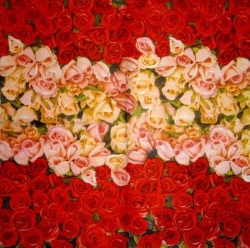 213 Roses - 3-ply - Paper Design