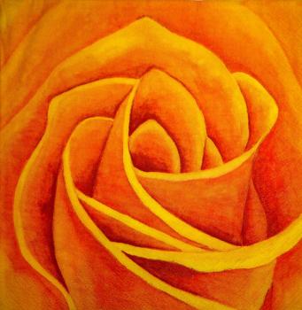 214 Roses - 3-ply